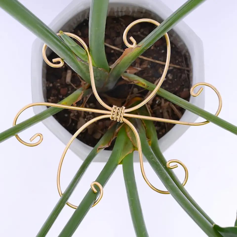 7.5In Monstera Plant Stem Support Hook Set-5PCS Metal stem Holder