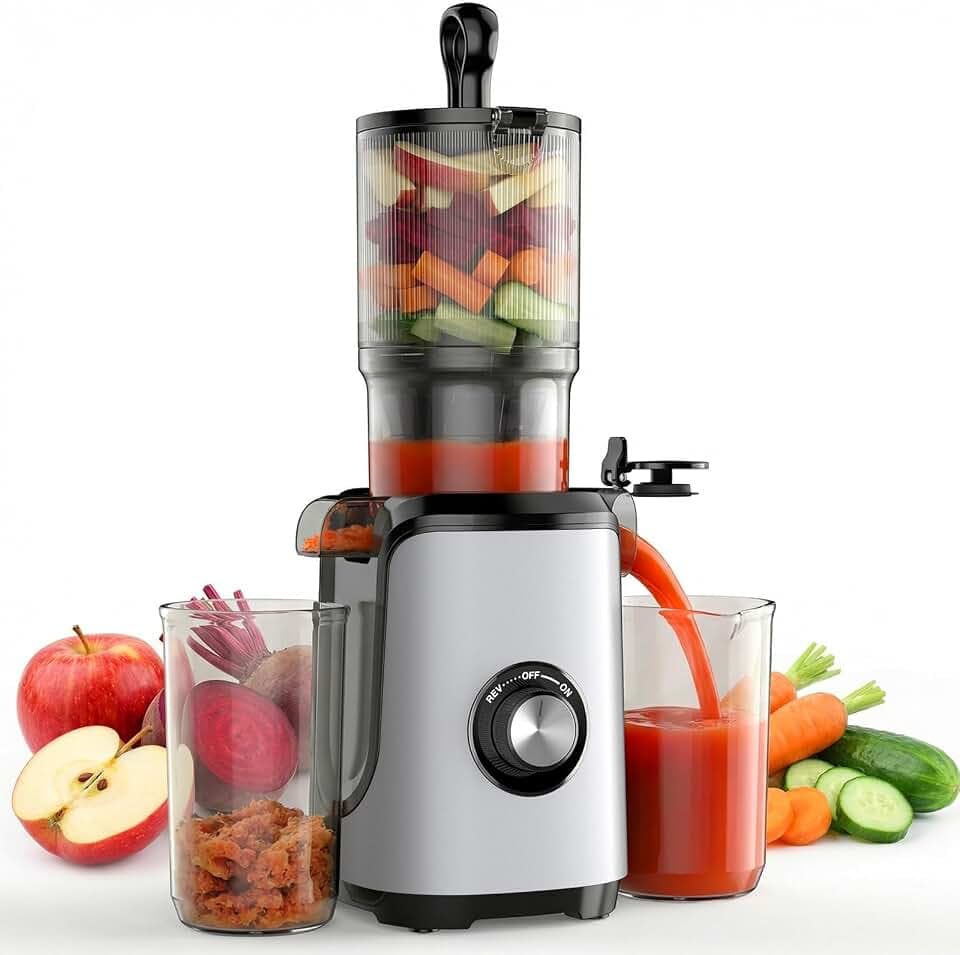 DUMOS Masticating Juicer Machines, Cold Press Juicer with 4.25" Wide Feed Chute, High Juice Yield for Whole Vegetables & Fruits, Easy to Clean, Silver