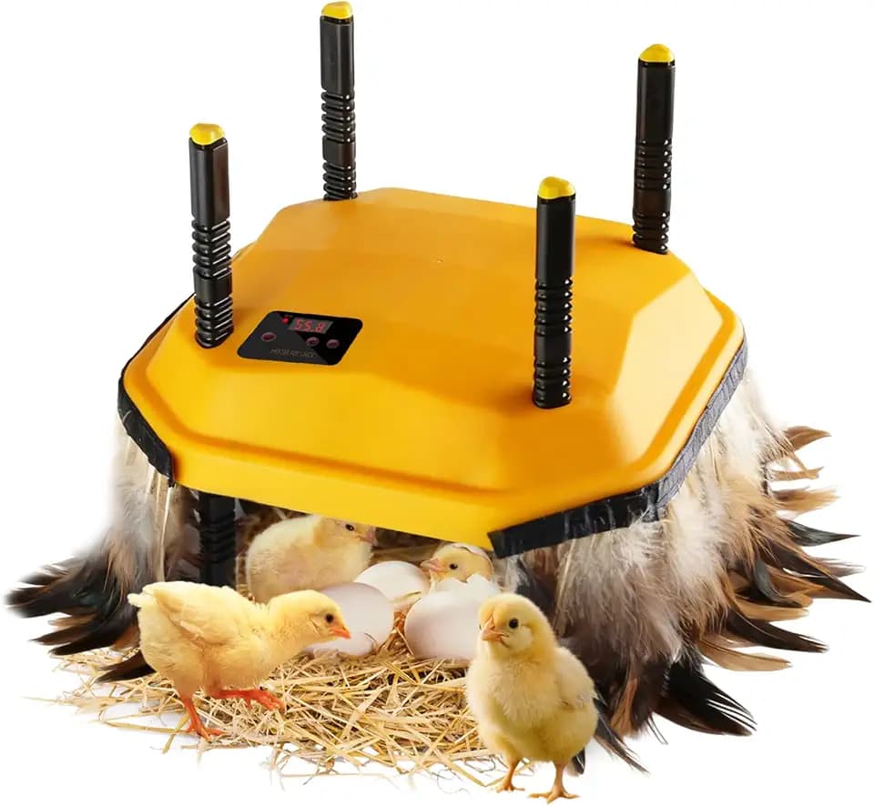 10 * 10inch Chick Brooder Heater Plate with Temperature Adjustable and Display,Adjustable Height & Angle Brooder Box for Baby Chicks Quail Duckling Chicken Heat Warmer Lamp Poultry Habitat Supplies