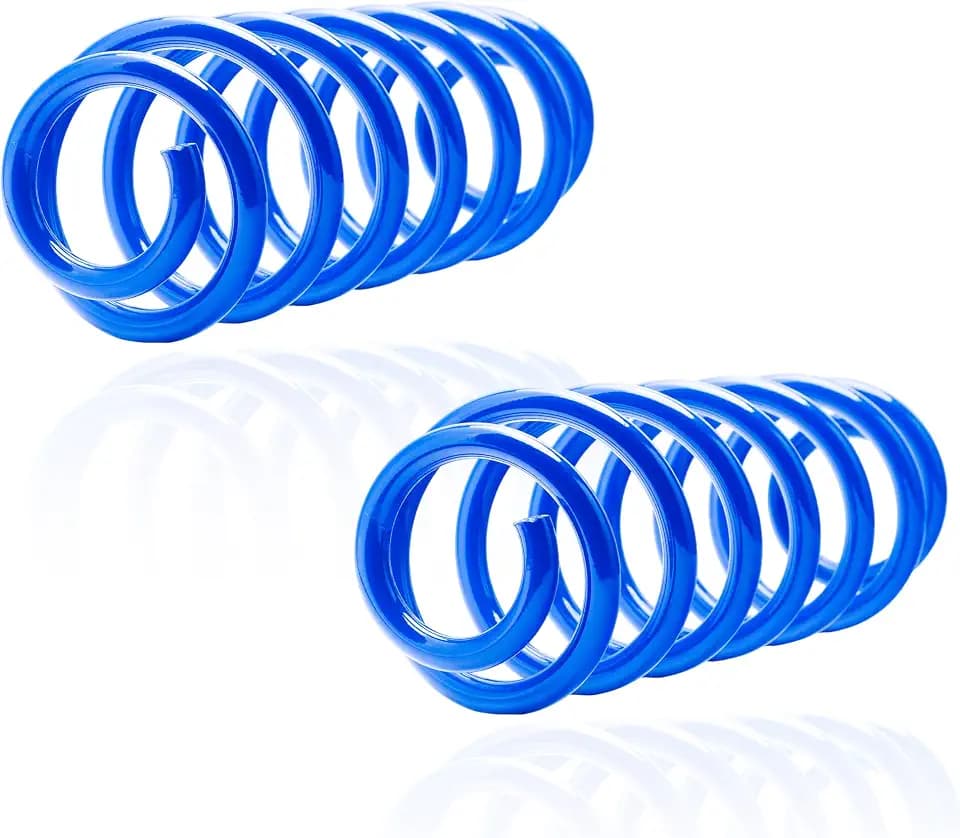 2Pcs Heavy Duty Rear Suspension Coil Spring Set, Fits VW Passat 2006-2010 & Tiguan 2009-2018, Replace# 3C0511115AF(Blue)
