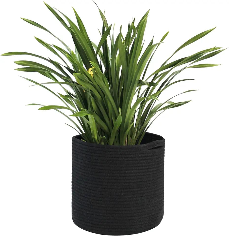MEGASKET Cotton Rope Plant Basket, Woven Basket Planter for 10 inch Pot, Round Indoor Tree Pot Cover, Small Storage Bin Organizer, Modern Bins for Plants and Home Decor, 11”X11”, Black