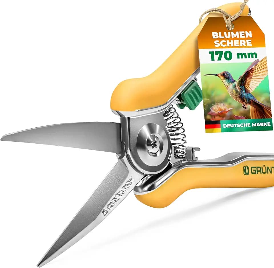 GRÜNTEK COLIBRI Gartenscheren, Pflanzenschere, Pruning shears, Rebschere | Blumenschere, Blumenschere für Schnittblumen, Gartenschere, Ernteschere, Floristenschere, Traubenschere, Staudenschere
