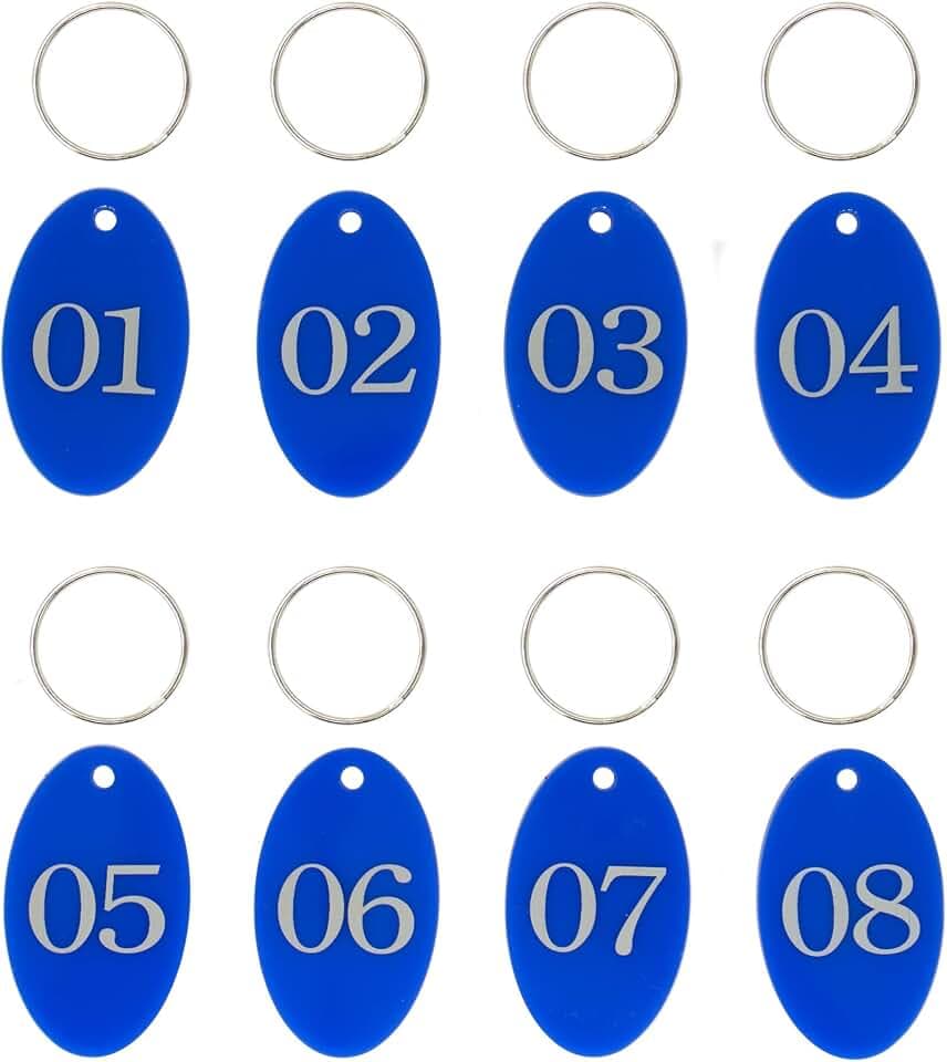 Ovale, nummerierte Etiketten aus Acryl mit Schlüsselring zum Organisieren (blau, 01-100)