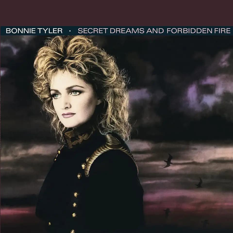 Secret Dreams And Forbidden Fire - Bonnie Tyler - Jim Steinman, Operatic Pop, Heldenheld, Heldenheldin, 40 Jahre, Vinyl, Klassische Popmusik [Vinyl LP]