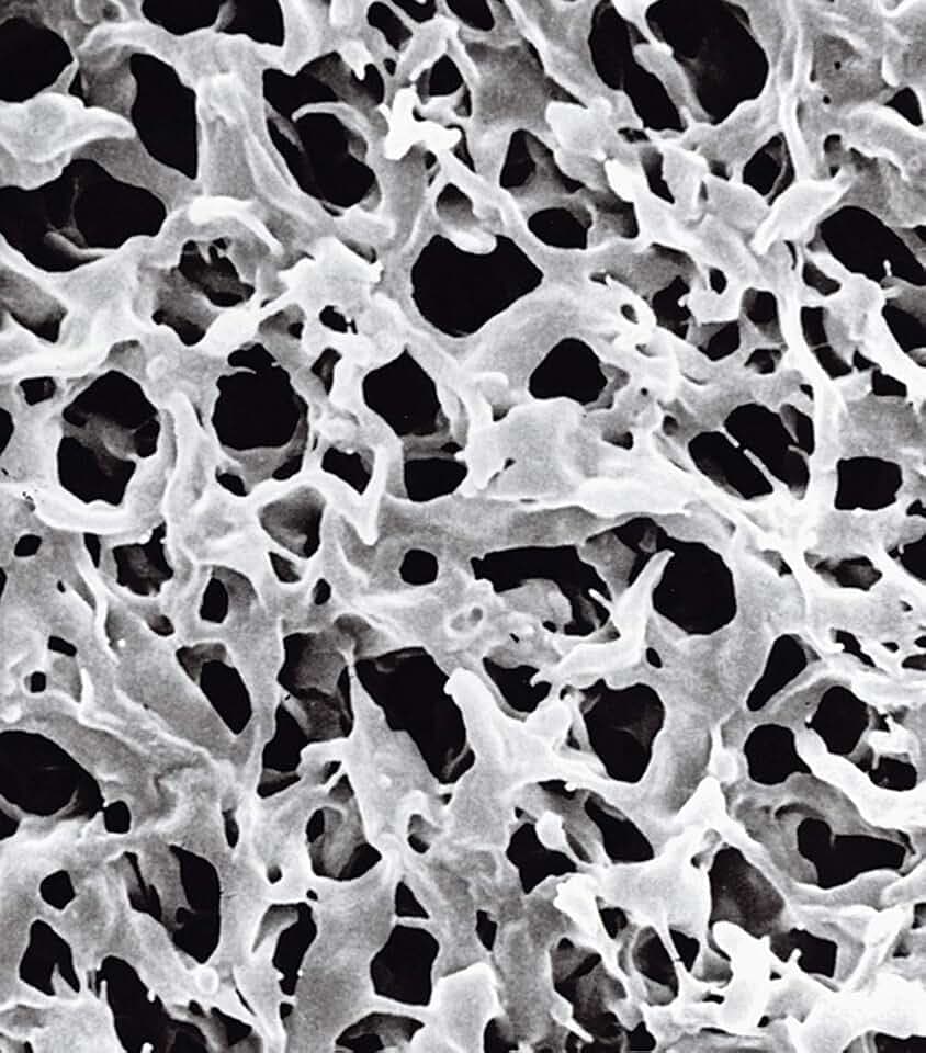 GVWP04700 Durapore Membrane Hydrophyle, 0,22 μm Poren, 47 mm Durchmesser, 100 Stück
