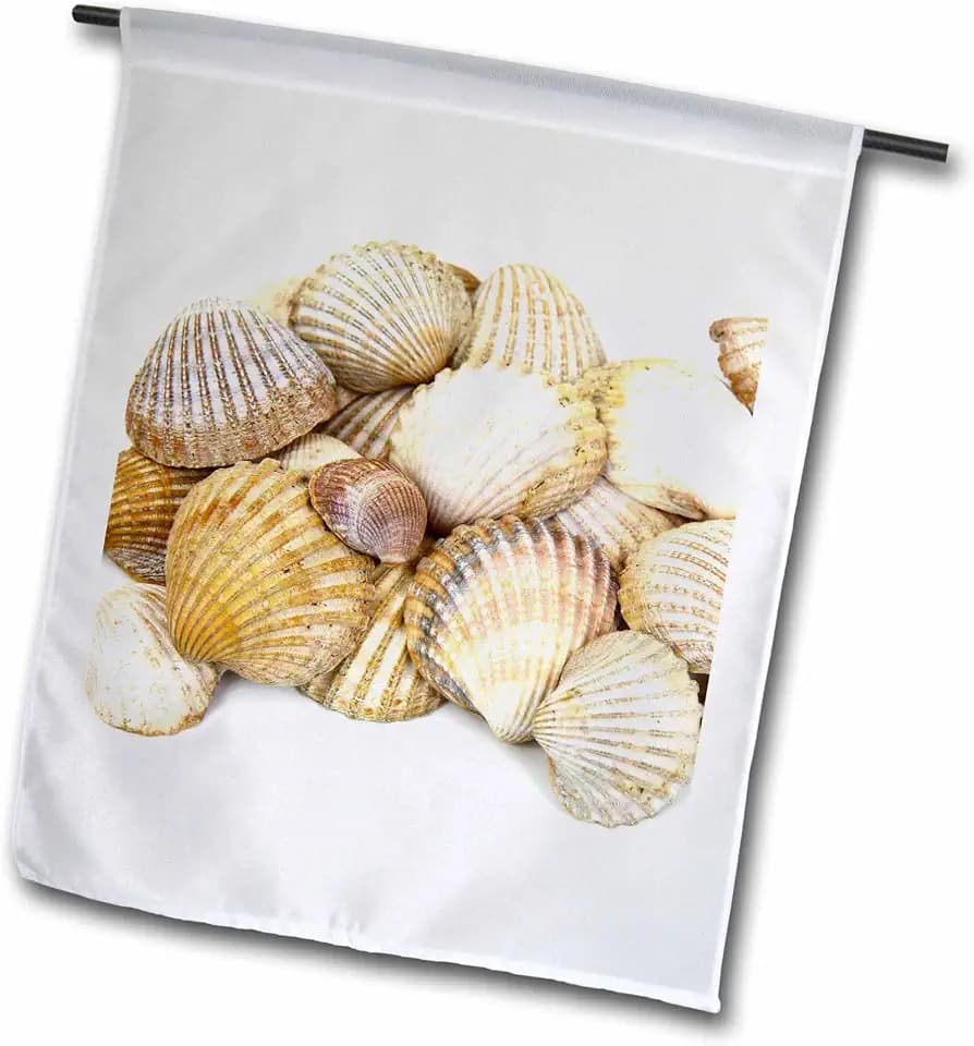 3dRose Sea Shells by The Sea Shore - Summer 12 x 18 inch Garden Flag