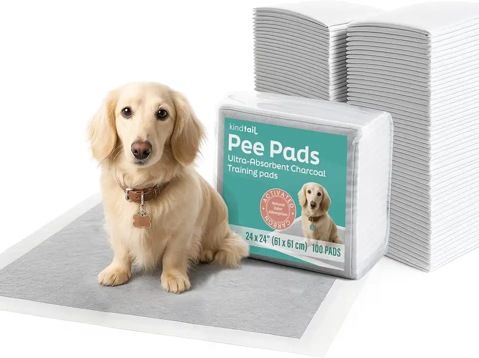KindTail Pee Pads - 24 x 24 Inch Dog Training Pads for Pee PAWD - Leakproof & Absorbent with Adhesive Backing - Disposable, Odor-Filtering Charcoal Pads for Puppy Training - 100 Pack