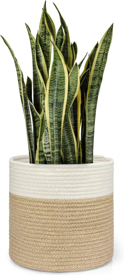 Dahey Plant Basket Indoor for 10 inch Pot Woven Jute Planter, White & Beige