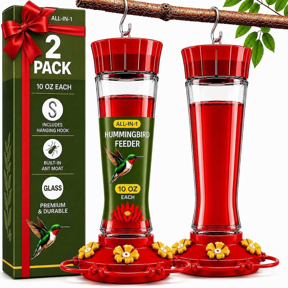 Glass Hummingbird Feeder 10oz [Set of 2] Ant Guard & Wide Mouth Leakproof