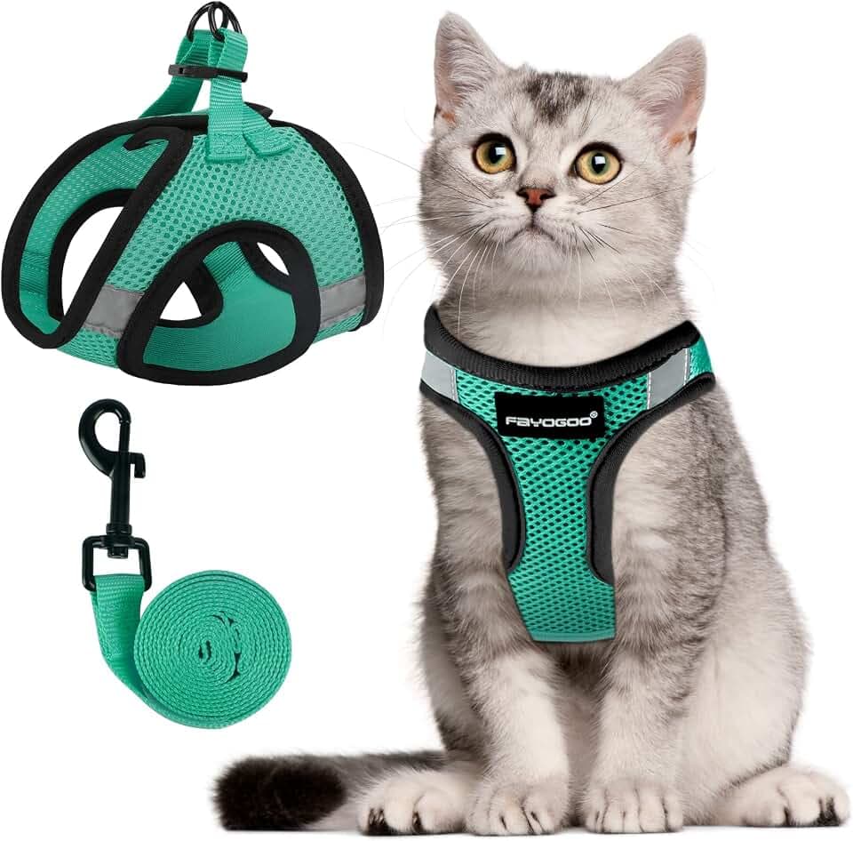 FAYOGOO Katzengeschirr und Leine zum Spazierengehen Ausbruchsicher