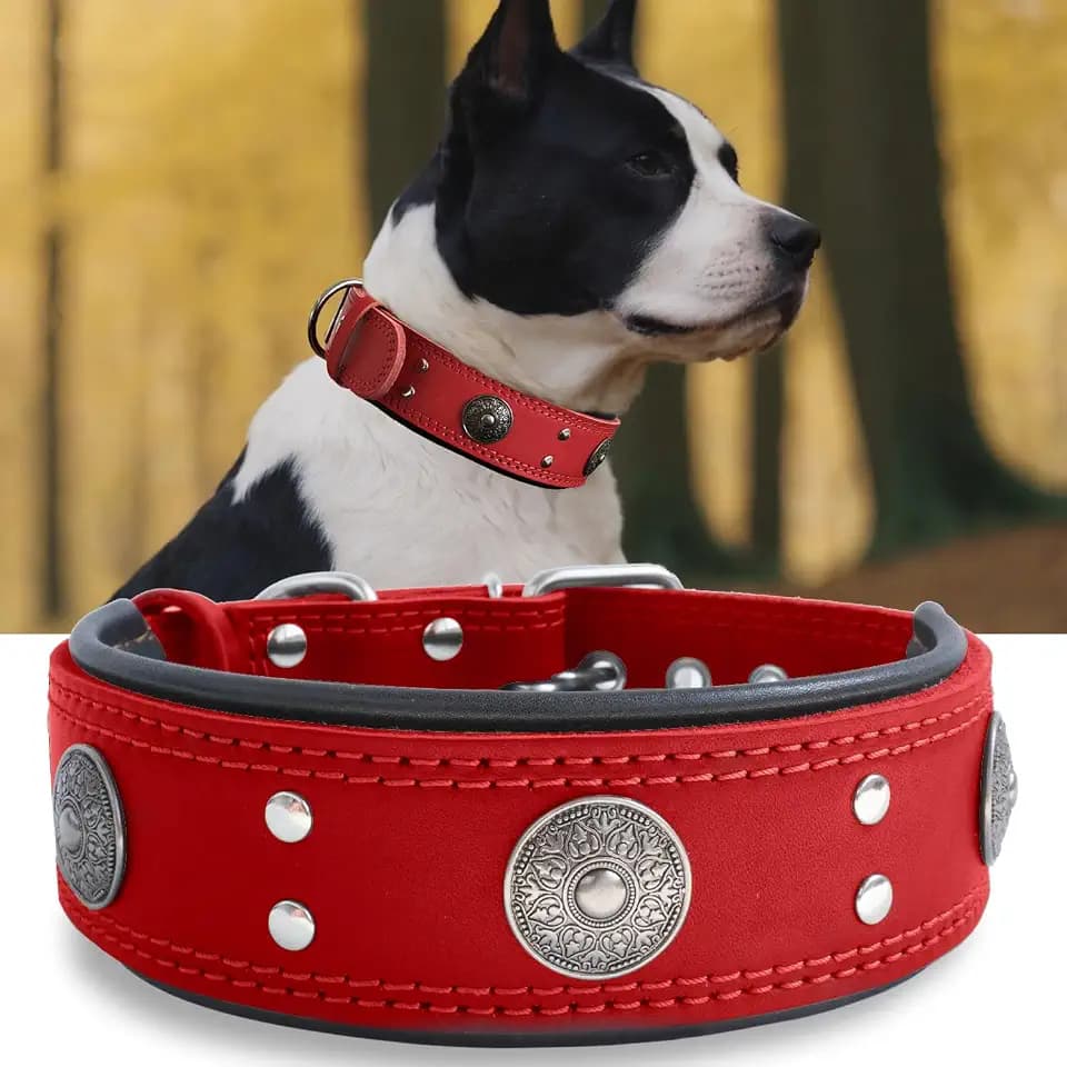 Hundehalsband Leder 5 cm Breites,Handgefertigt Weich und Luxuriös,Rot M