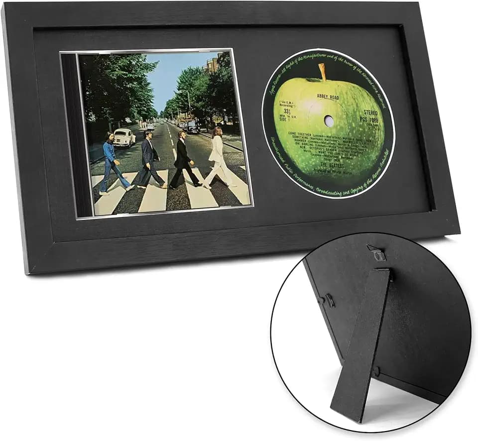 FramePro CD Regal Schaukasten CD Ständer Schrank Aufbewahrung Schaukasten Rahmen Schallplattenregal Schallplatten Aufbewahrung Musikrahmen 36,2x19,61 cm Echtglas-Schwarz