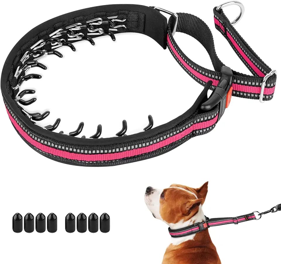 Mayerzon Martingale Collar No Pull for Small Medium Large Dogs | Pink, M