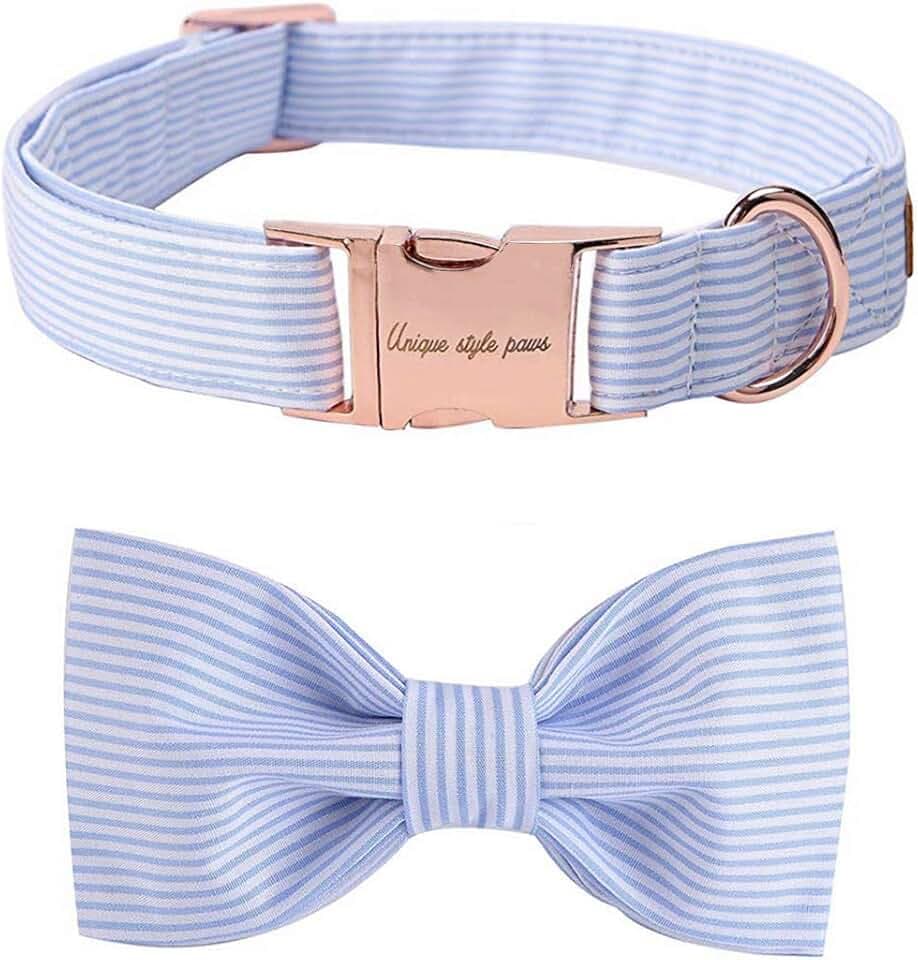 Unique Style Paws Hundehalsband Fliege Halsband Verstellbare Halsbänder oder Hundeleinen für Hunde und Katzen Klein Mittelgroß Groß