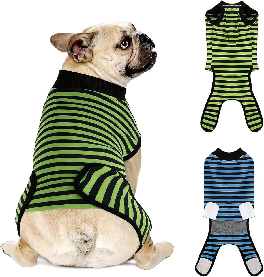 Dog Recovery Suit for After Neuter Spay Abdominal Wounds Protector