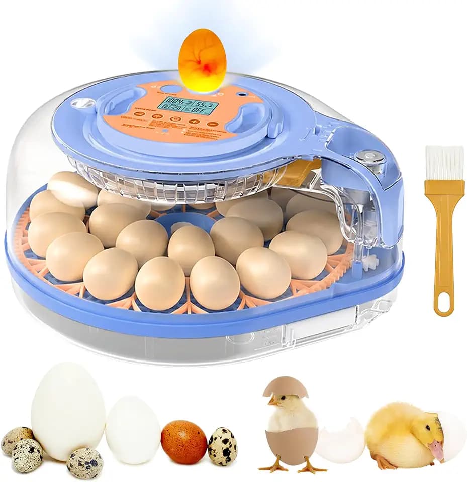 Incubators for Hatching Eggs, FAMEWARE 26 Egg Incubator with Voice Control, Auto Turning, Auto Humidity, °F/°C Switch & Egg Candler, Fits Chicken Bird Eggs - Blue