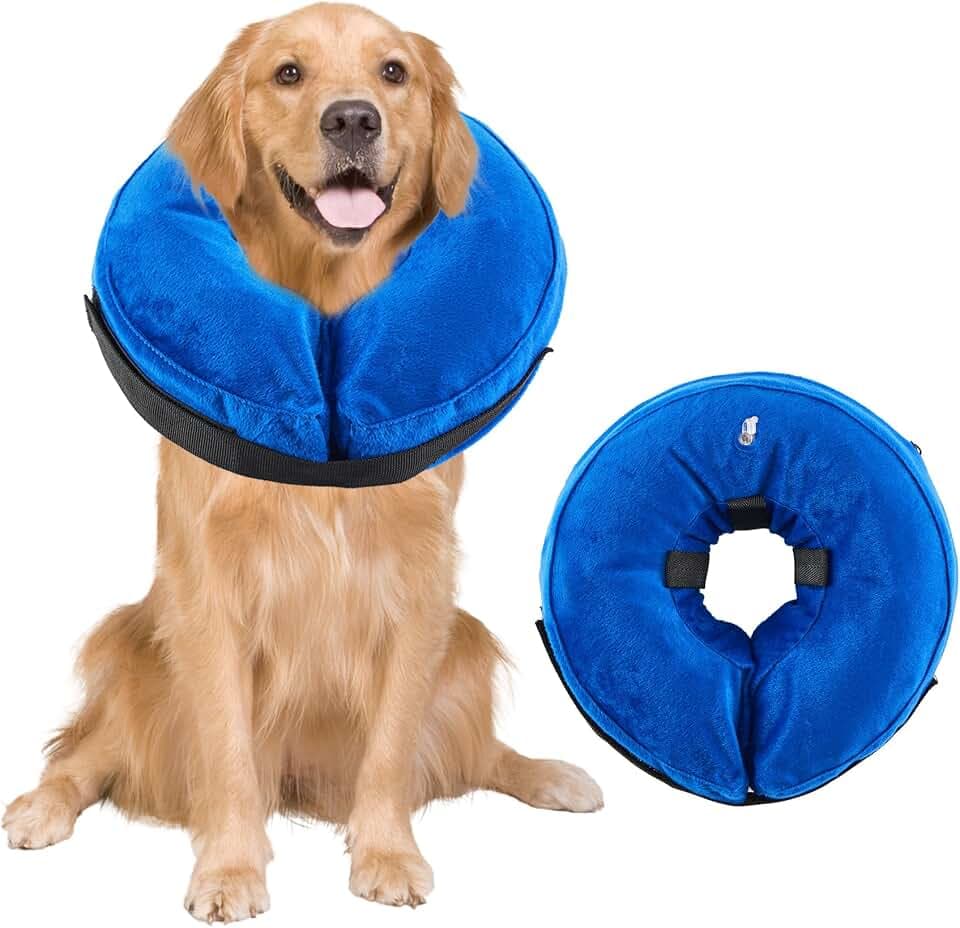 Aufblasbare Halskrause für Hunde, Verstellbarer Schutzkragen nach Operationen, Weicher Anti-Leck-Kragen mit Atmungsaktivem Material, Sichtfreundliches Elizabethanisches Halsband für Hunde (Blau, M)