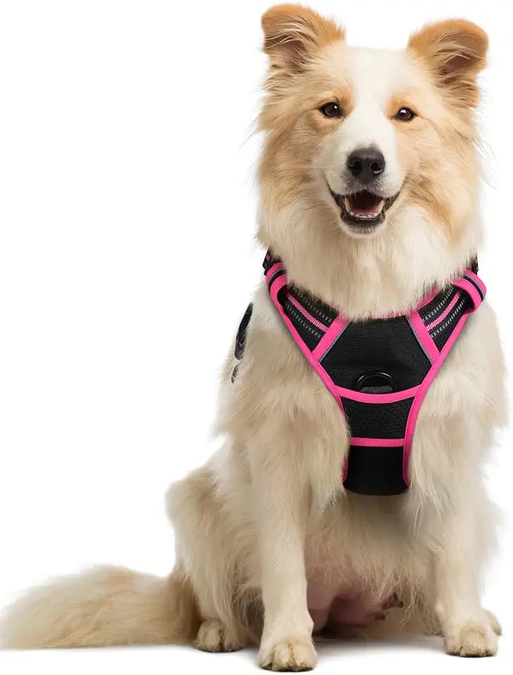 rabbitgoo Dog Harness, No Pull Medium Sized with 2 Leash Clips, Pet Vest