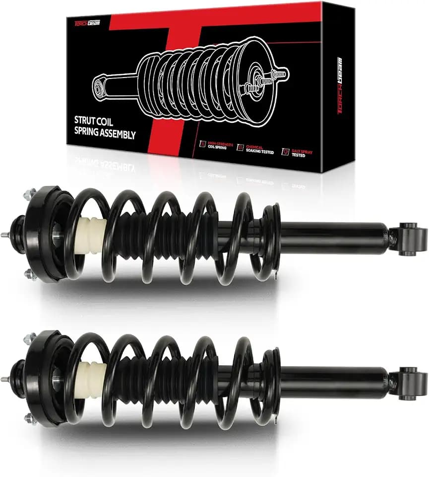 Torchbeam Set of 2 Rear Strut Assembly for 2011-2019 Journey FWD 2.4L/3.6L