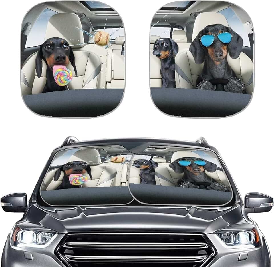 Car Windshield Sun Shade Foldable Funny Dachshund Dog Car Front Window Covers Auto Front Windshield Sun Shade Reflective Blocks Heat,Universal Fits