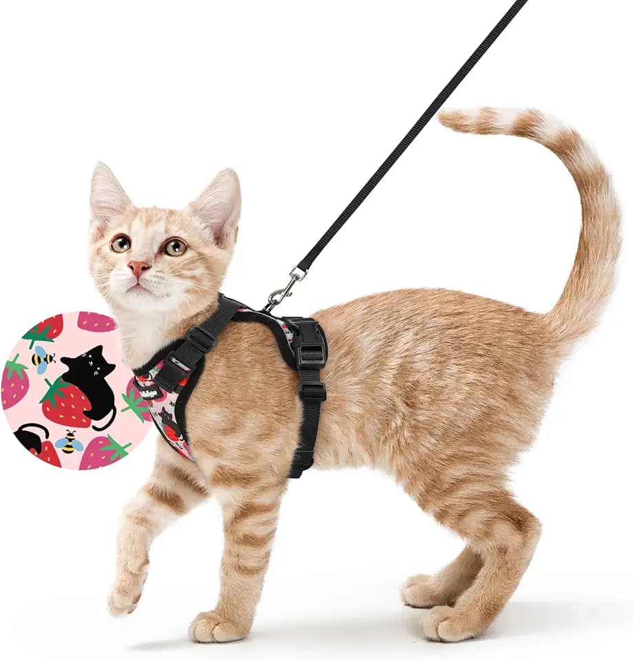 rabbitgoo Cat Harness and Leash Set, Escape Proof Vest, Berry Pounce