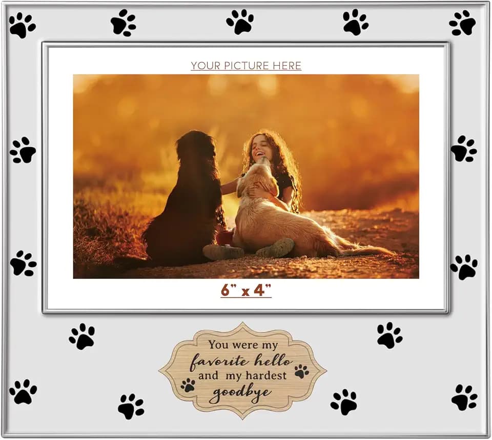 Metal Picture Frame 4x6 Photo Frames with High Definition Glass Front Gift Ideas Tabletop Home Decorative (Paw, Silvery)