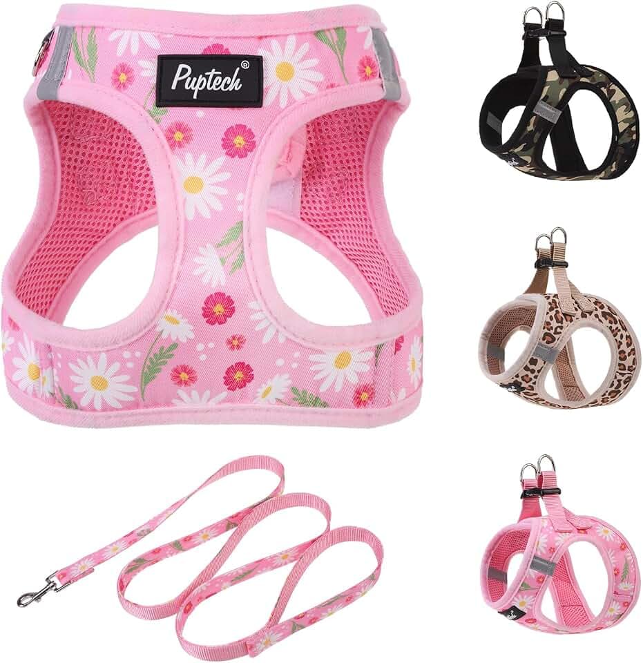PUPTECK Hundegeschirr Und Leinen-Set Für Kleine Bis Mittlere Hunde - Weichmaschen Welpen Geschirr Mit Einfacher Einsteck-Funktion, Reflektierend Für Die Nacht, Blumen, S