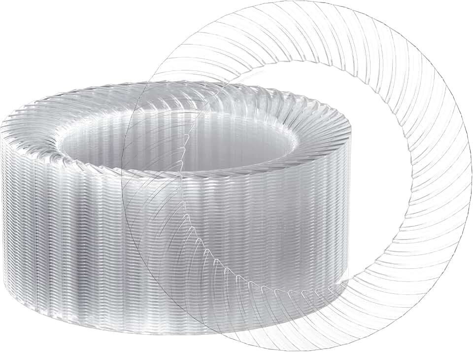 FOCUSLINE 10 Inch Clear Plastic Plates, 100 Count Disposable Dinner Plates