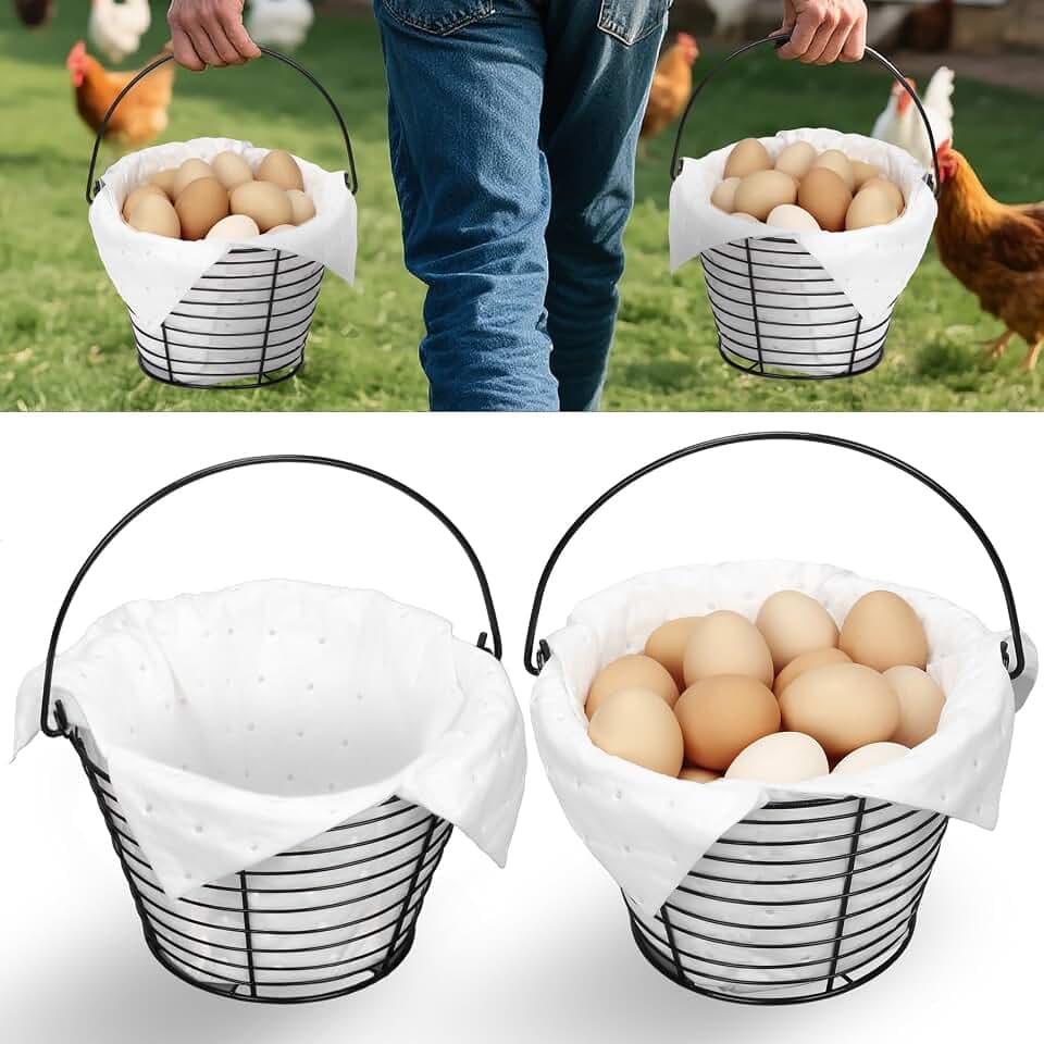 Egg Basket for Collecting & Carrying Chicken Eggs, 2 PCS 8" Wire Egg Basket with Soft Mats, Egg Collecting Baskets, Storagre & Transporting, Black