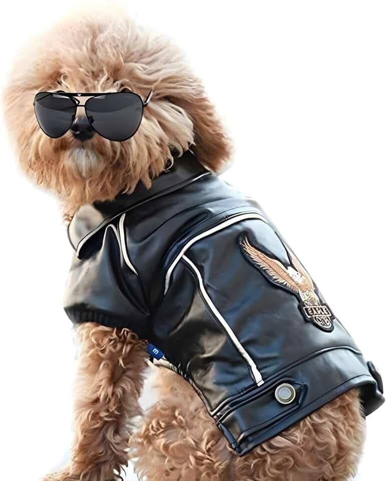 Dog Leather Jacket - Cute Leather Dog Jackets Motorcycle Clothes with Buttons Pet Waterproof Winter Coat for Small Medium Dogs(Black, XL)