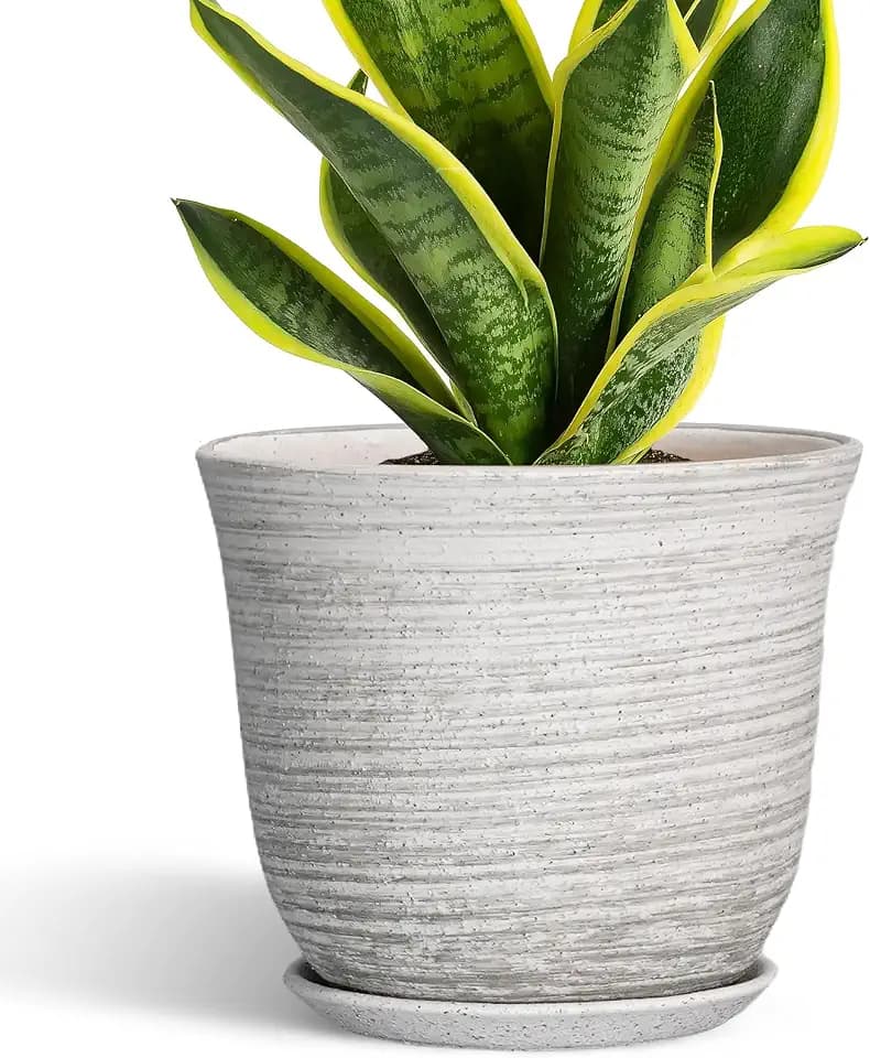 Ceramic Plant Pots, 8 Inch Plant Pot with Drainage, Grey