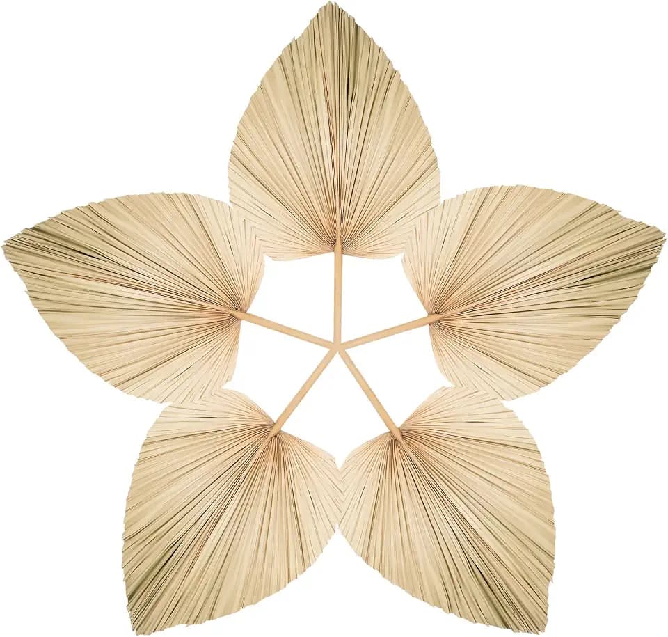 5 Large Bulk Boho Dried Palm Leaves Fans with Stem