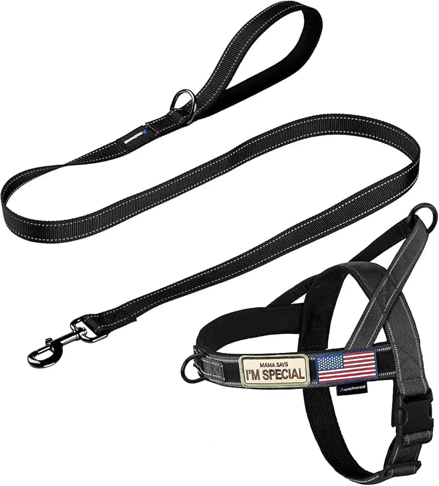 Annchwool No Pull Dog Harness with Padded Handle+5 Ft Leash(Black-Set,L)