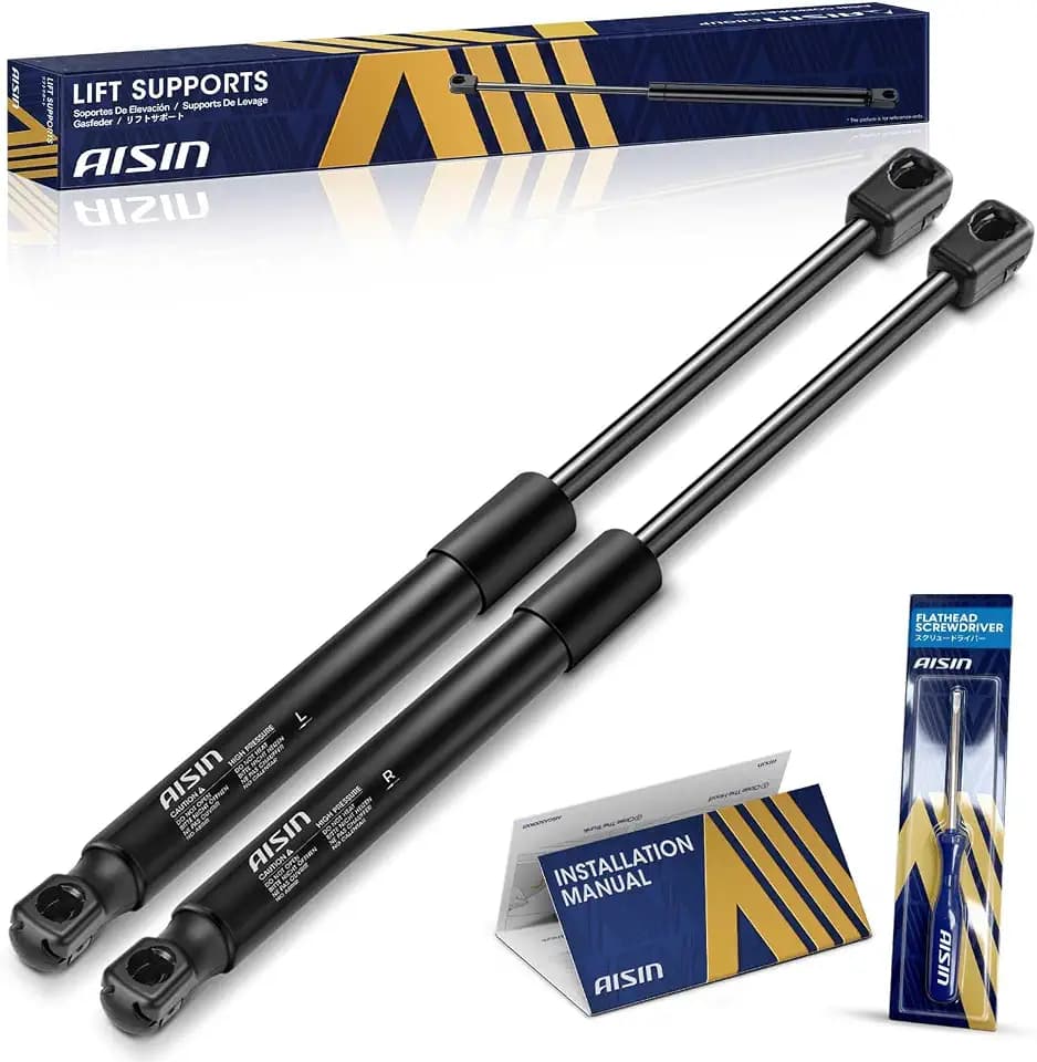 AISIN AFTERMARKET GASMB-01317 2Pcs Rear Trunk Lift Support Shock Strut
