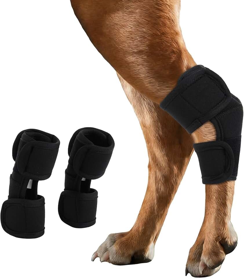 IECOii 2 Stück Hund Gelenkschutz,Knöchelbandage Hund Unterstützung Gelenke Hund ACL Hund Pfoten Ellenbogenbandage Hund Leckschutz Hund Wundschutzanzug Post-OP Schutz Pfotenbandage(Schwarz,L)