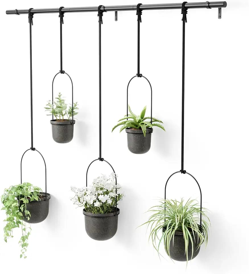 Umbra Triflora Hanging Planter, Window Herb Garden, Set of 5, Black/Black