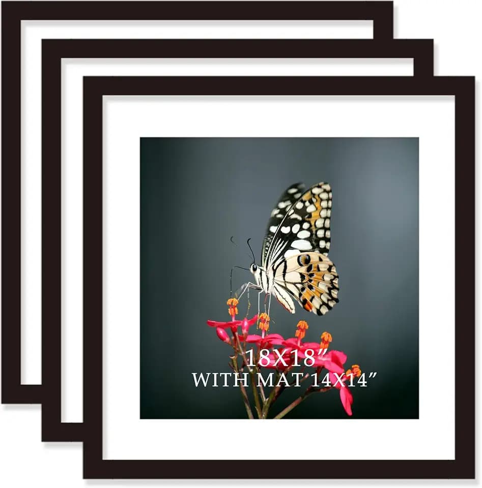 18x18 Frame Black With Mat 14x14 Solid Wood Picture Frames Wall Mounting (3 pack, 18x18 Inch)…