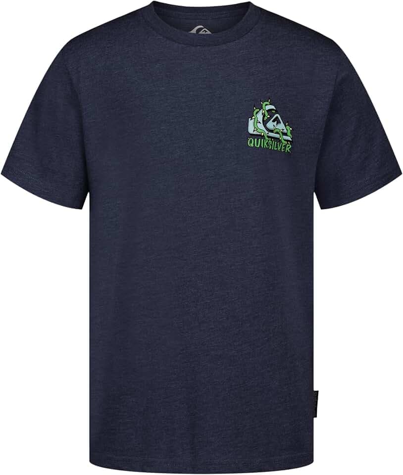 Quiksilver Boys' Short Sleeve Regular Fit Logo Graphic T-Shirt