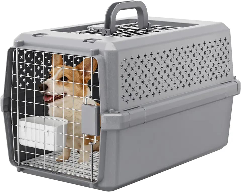 RIZZARI Gray Pet Carrier for Medium Dogs & Cats, Hard-Sided Travel Kennel