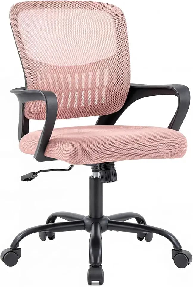 DUMOS Home Office Chair, Ergonomic Lumbar Support Desk Chair