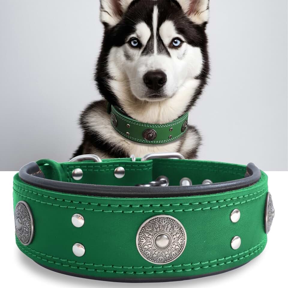 Hundehalsband Leder 5 cm Breites,Handgefertigt Weich und Luxuriös,Grün M