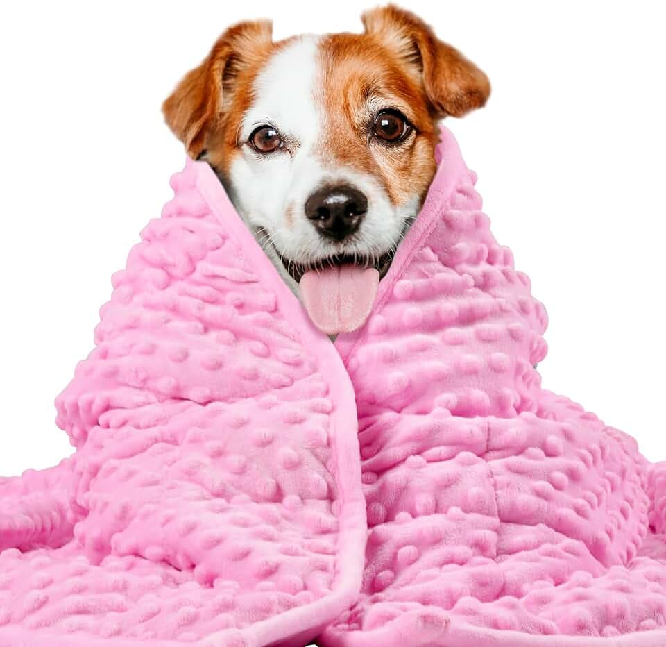 LaSyL Weighted Blanket for Pets | Thunder Blanket for Dogs Anxiety | Premium Soft Minky | Relaxation & Calming & Anti Anxiety | Used in Car, Bed, Couch | Pink, Washable Small (24"x32")