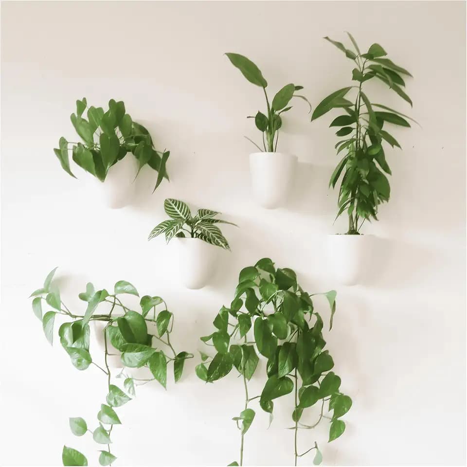 Make Good PlantPod Luxe - Self-Watering Wall Planters (Set of 6) - Easy to Water and Install - Lightweight - Design Your Own Vertical Garden - Wall Planters for Indoor Plants