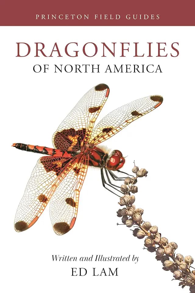 Dragonflies of North America (Princeton Field Guides, 167)