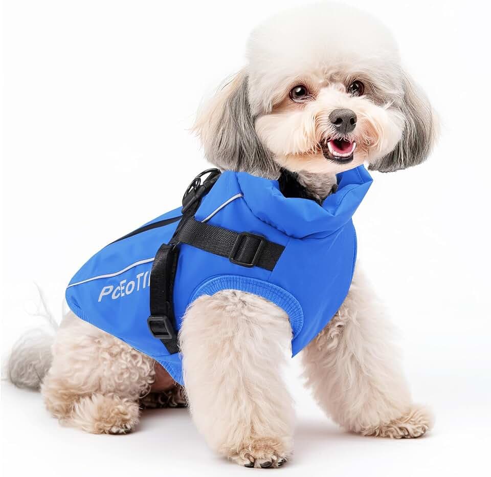 PcEoTllar wasserdichte Jacke mit Geschirr für kleine Hunde, Blau L