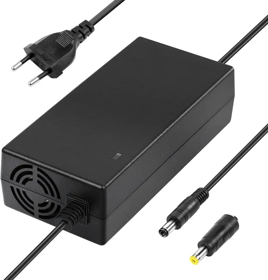 ARyee 54.6V 48V 2A Elektroroller Ladegerät für 13S 48V Lithium Akku Li-Ion Akku Ladegerät für Mobilitätsroller, Motorrad, EBike Elektrofahrrad, mit 2 Steckern, DC 5,5x2,1mm/5,5x2,5mm