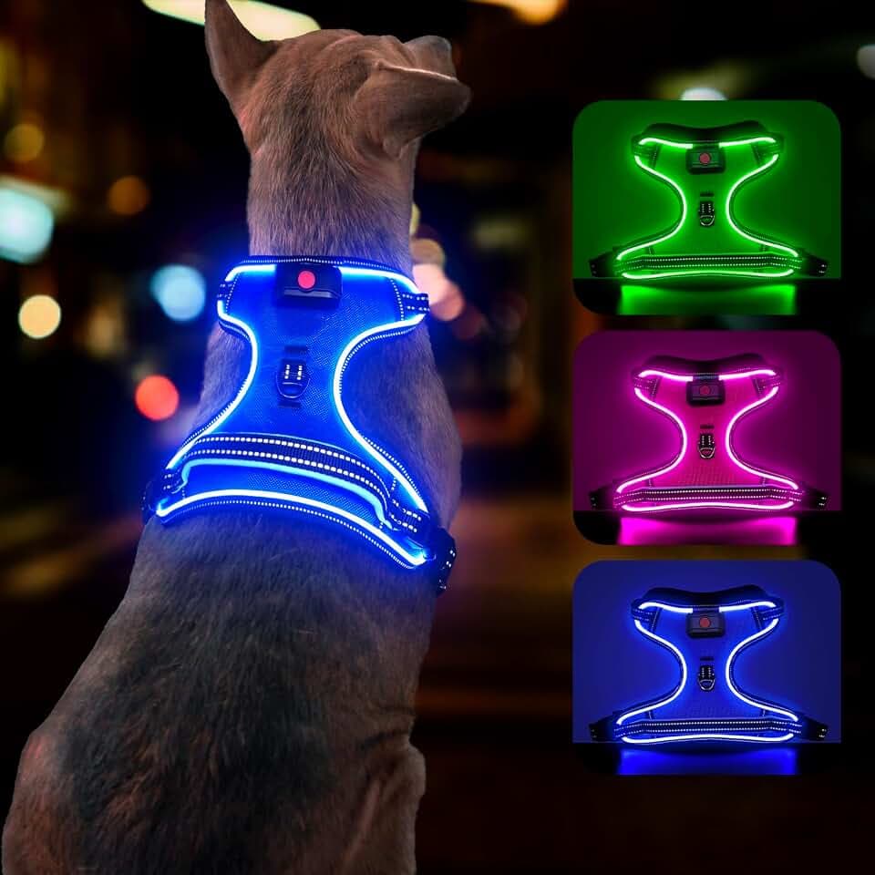 YFbrite Hundegeschirr Mit Licht - USB Wiederaufladbar, Leuchtend, Strapazierfähig, LED, Verstellbar für Kleine, Mittelgroße und Große Hunde
