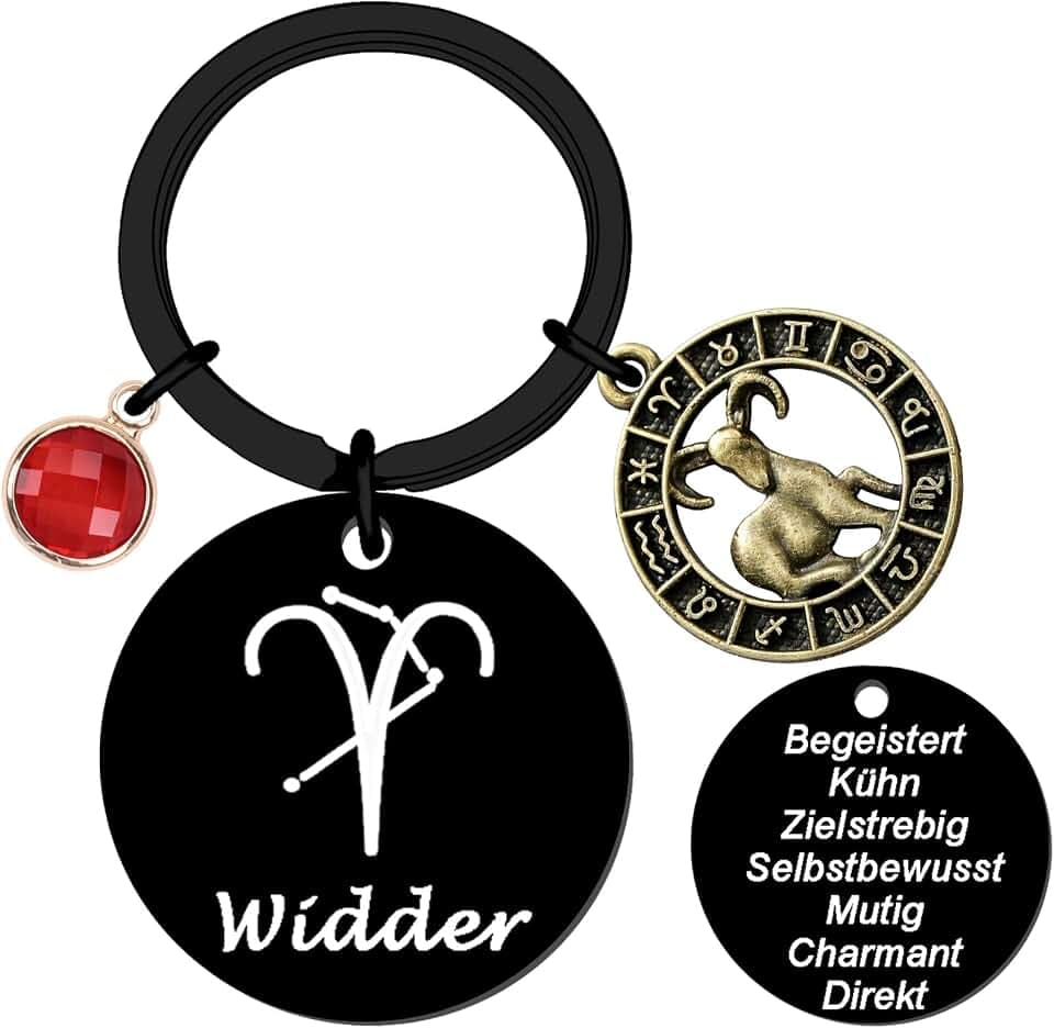 Sternzeichen Schlüsselanhänger Sternbilder Schlüsselanhänger Sternbild-Schlüsselring Zodiac Geschenk für Männer Frauen Geburtstag Schulabschluss Weihnachten Erntedankfest Halloween