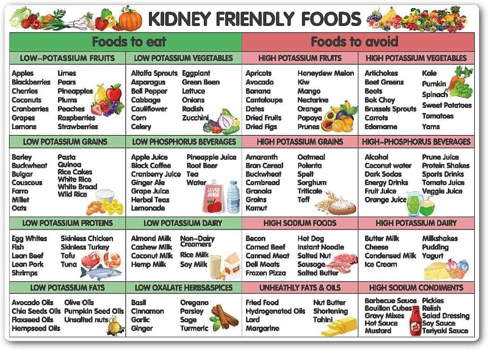 Kidney Diet Food Chart,Magnetic Food List for Healthy Eating Guide