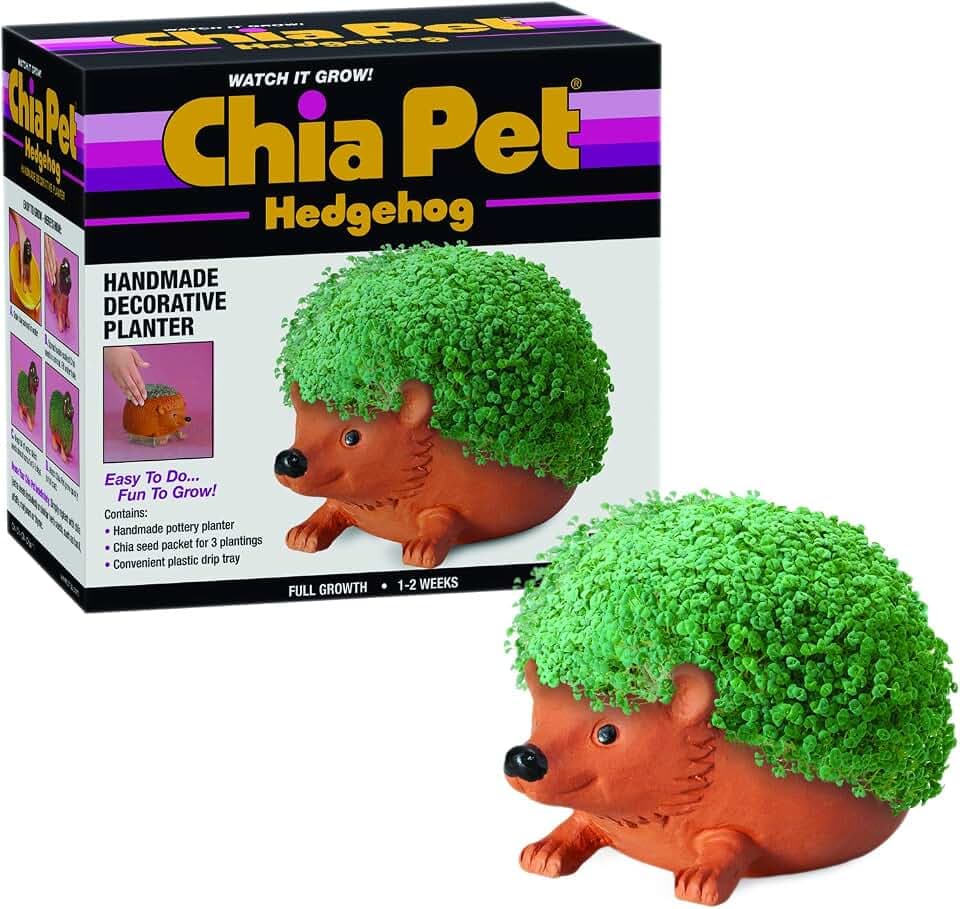 Chia Pet Classic Hedgehog Terracotta Planter with Seed Pack